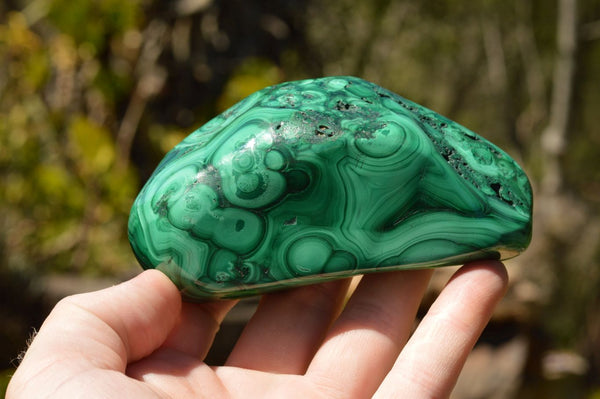Polished Malachite Free Forms With Stunning Flower & Banding Patterns x 6 From Congo