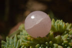 Polished Pink Rose Quartz Spheres  x 6 From Ambatondrazaka, Madagascar - TopRock