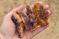 Natural Small Dark "Amethystos" Amethyst Clusters x 35 From Kwaggafontein, South Africa - TopRock
