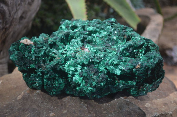 Natural Chatoyant Silky Malachite Specimen x 1 From Congo - Toprock Gemstones and Minerals 