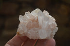Natural Small Clear Quartz Clusters  x 24 From Madagascar - Toprock Gemstones and Minerals 