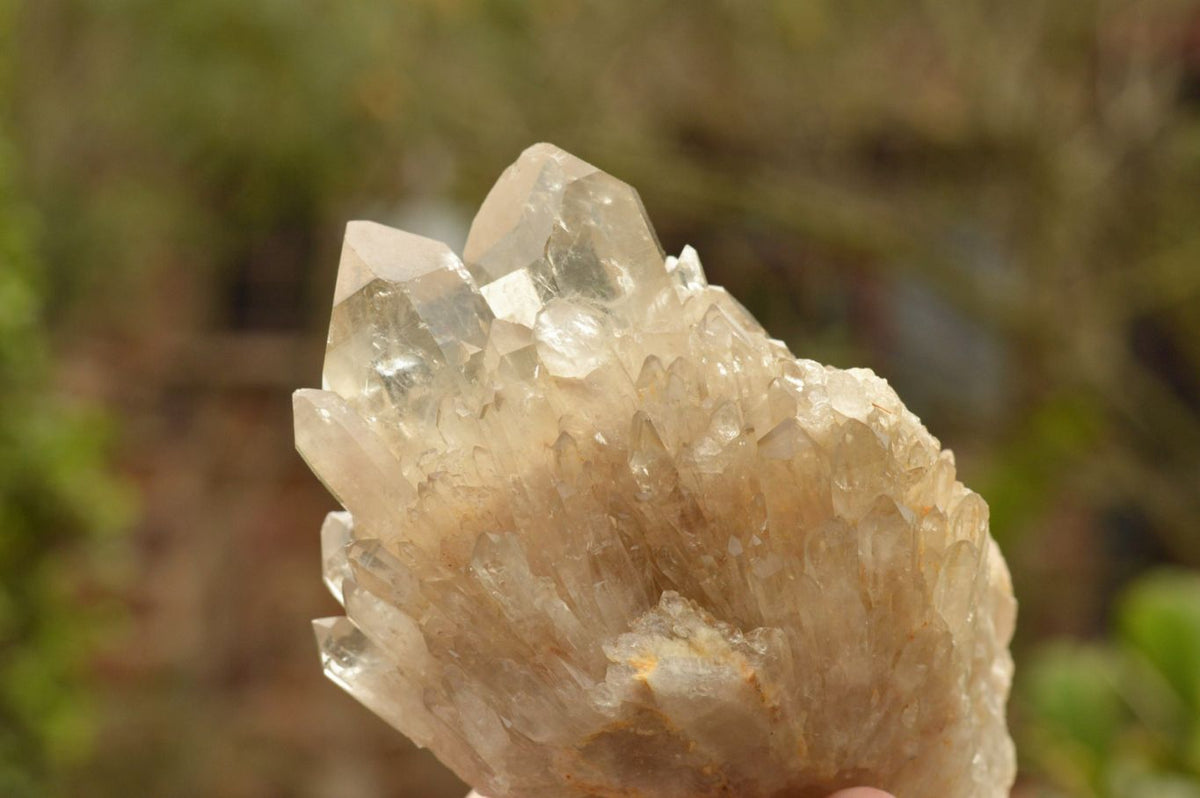 Natural Mixed Selection Of Minerals  x 6 From Southern Africa - TopRock