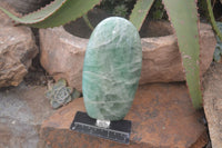 Polished Emerald Fluorite Standing Free Form  x 1 From Madagascar
