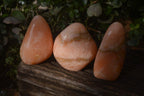 Polished Orange Twist Calcite Standing Free Forms x 3 From Maevantanana, Madagascar - Toprock Gemstones and Minerals 