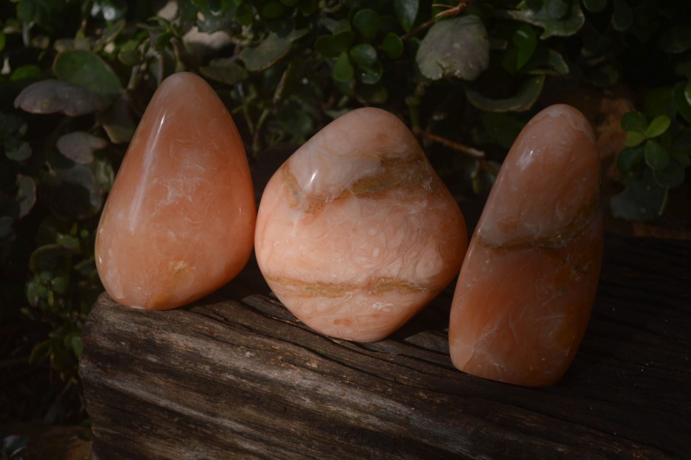 Polished Orange Twist Calcite Standing Free Forms x 3 From Maevantanana, Madagascar - Toprock Gemstones and Minerals 