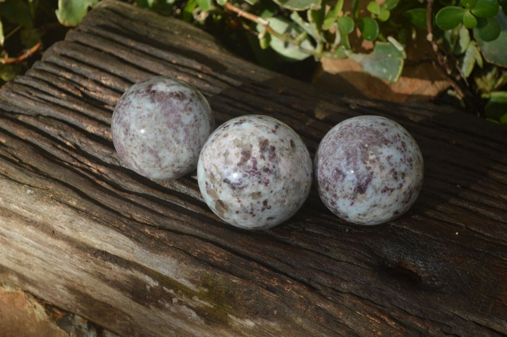 Polished Rubellite Pink Tourmaline Matrix Spheres x 3 From Madagascar - Toprock Gemstones and Minerals 