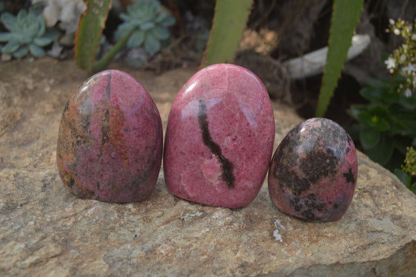 Polished Pink Rhodonite Standing Free Forms  x 3 From Madagascar