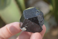 Natural Schorl Black Tourmaline Specimens x 12 From Erongo, Namibia