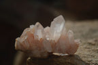 Natural Small Clear Quartz Clusters  x 24 From Madagascar - Toprock Gemstones and Minerals 
