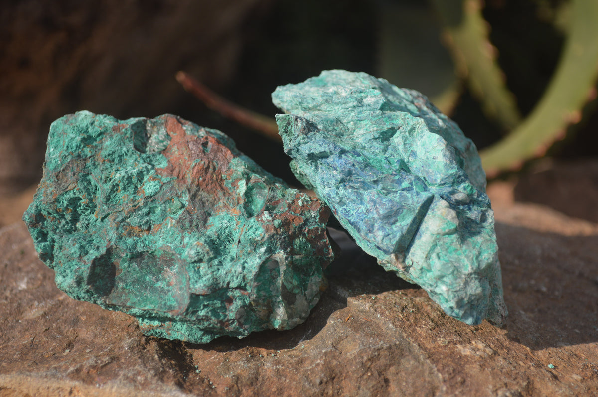 Natural Rough Shattuckite Cobbed Specimens x 12 From Kaokoveld, Namibia - Toprock Gemstones and Minerals 