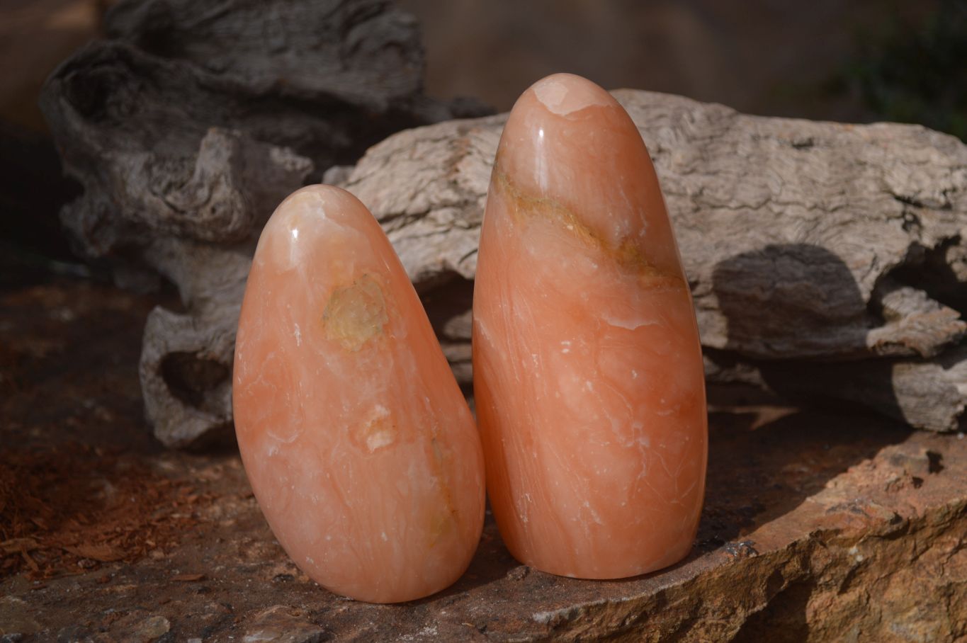 Polished Orange Twist Calcite Standing Free Forms x 3 From Maevantanana, Madagascar - Toprock Gemstones and Minerals 