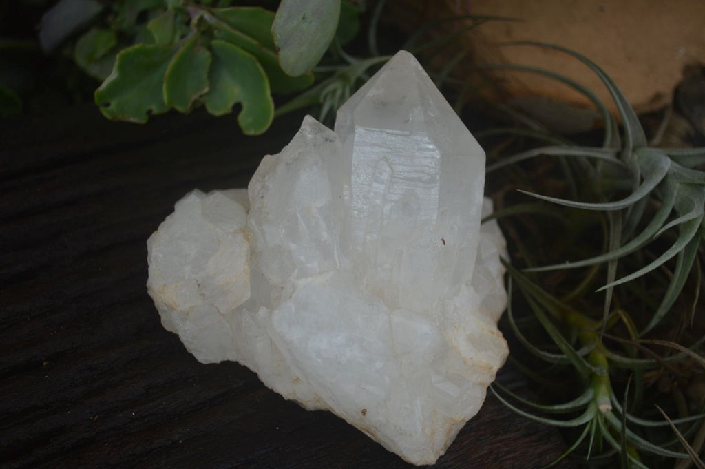 Natural Mixed Quartz Clusters  x 4 From Madagascar - Toprock Gemstones and Minerals 