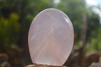 Polished Pink Rose Quartz Standing Free Forms x 2 From Ambatondrazaka, Madagascar - TopRock