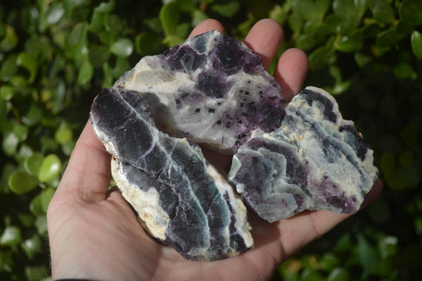 Polished One Side Polished Watermelon Fluorite Pieces  x 12 From Uis, Namibia - Toprock Gemstones and Minerals 