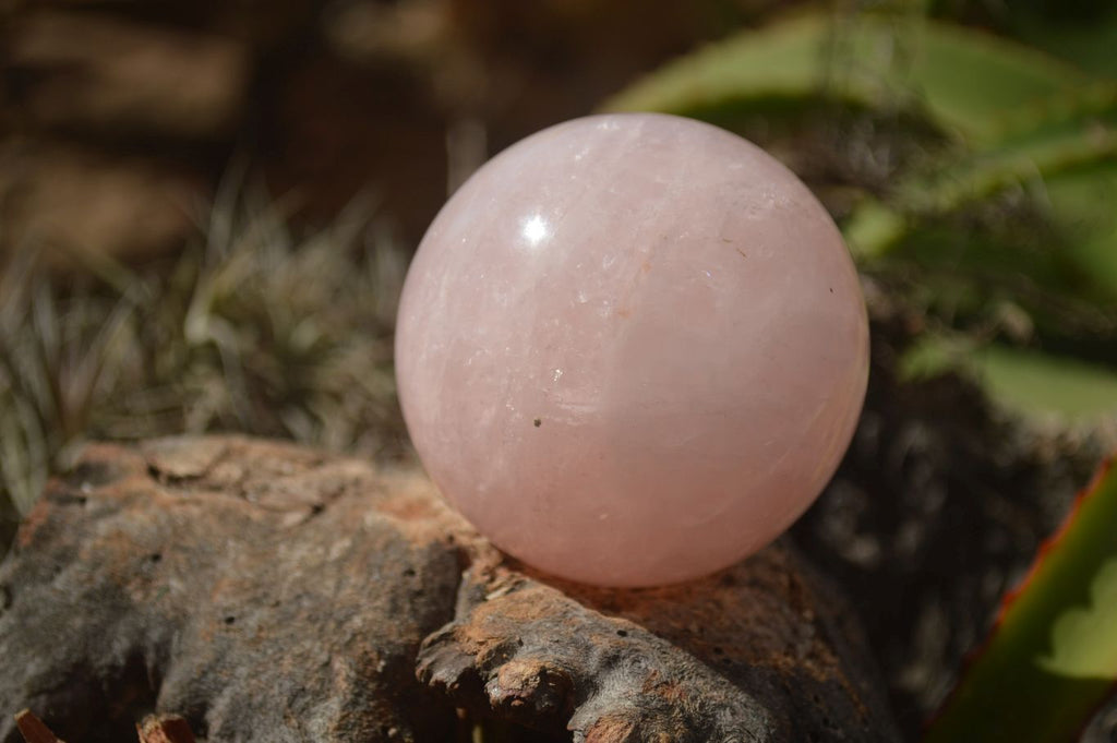 Polished Pink Rose Quartz Spheres  x 6 From Ambatondrazaka, Madagascar - TopRock