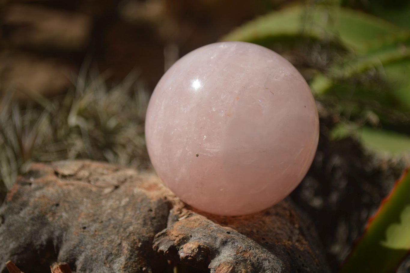 Polished Pink Rose Quartz Spheres  x 6 From Ambatondrazaka, Madagascar - TopRock