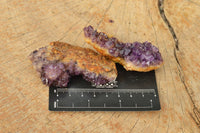 Natural Small Dark "Amethystos" Amethyst Clusters x 35 From Kwaggafontein, South Africa - TopRock