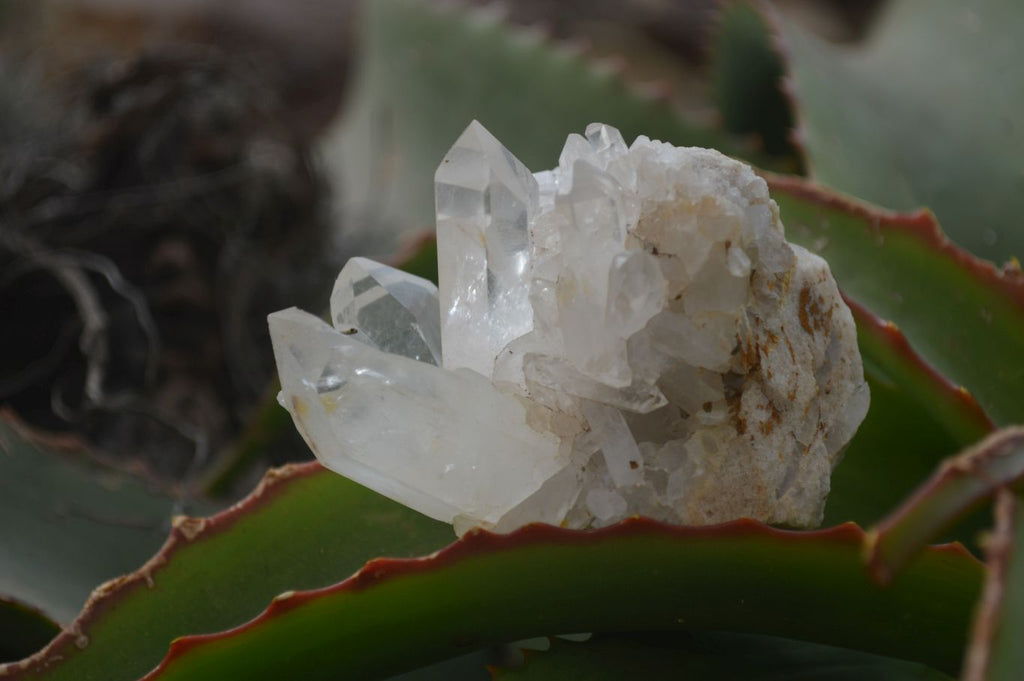 Natural Small Clear Quartz Clusters  x 24 From Madagascar - Toprock Gemstones and Minerals 