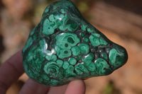 Polished Malachite Free Form x 1 From Kolwezi, Congo - Toprock Gemstones and Minerals 