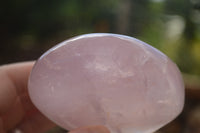 Polished Pink Rose Quartz Standing Free Forms x 2 From Ambatondrazaka, Madagascar - TopRock