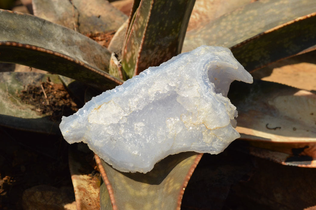Natural Etched Blue Chalcedony Agate Specimens  x 5 From Nsanje, Malawi - TopRock