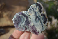 Polished One Side Polished Watermelon Fluorite Pieces  x 12 From Uis, Namibia - Toprock Gemstones and Minerals 
