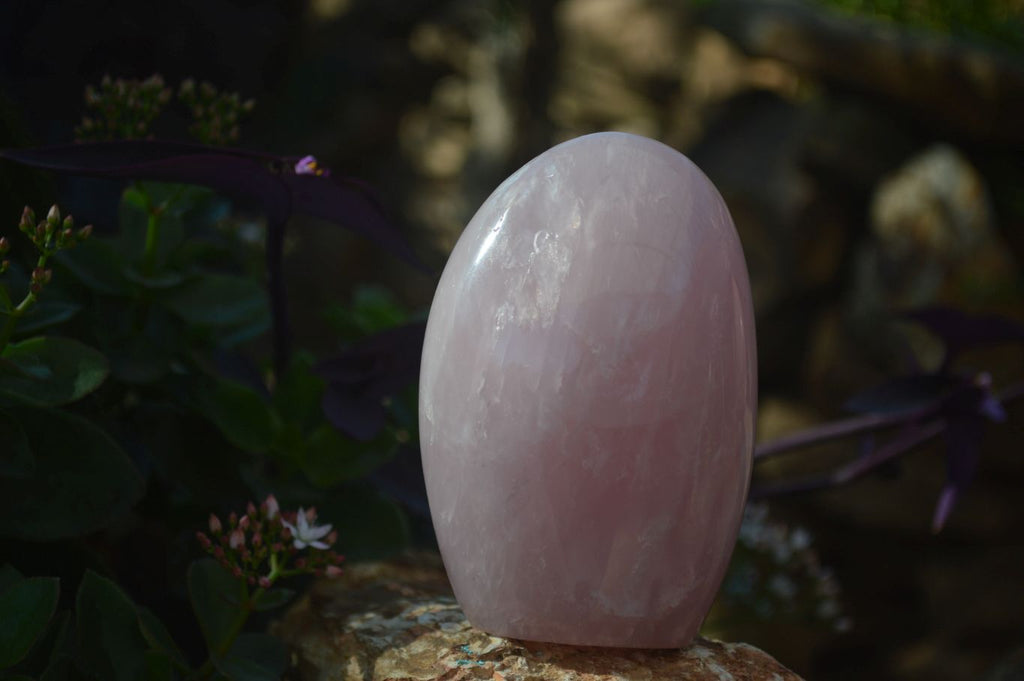 Polished Rose Quartz Standing Free Forms x 2 From Antsirabe, Madagascar - Toprock Gemstones and Minerals 
