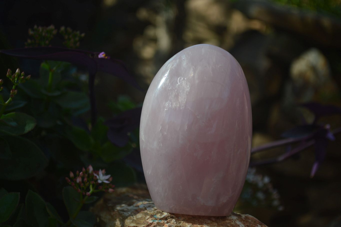 Polished Rose Quartz Standing Free Forms x 2 From Antsirabe, Madagascar - Toprock Gemstones and Minerals 