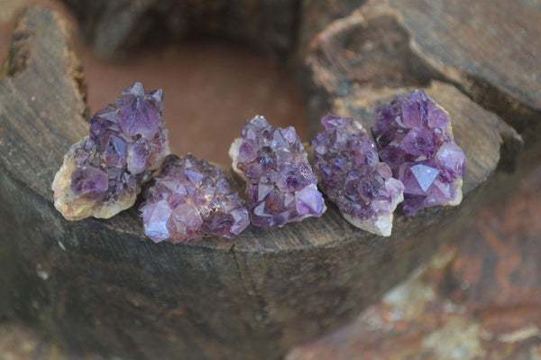 Natural Small Dark Amethyst Clusters  x 70 From Zambia - Toprock Gemstones and Minerals 