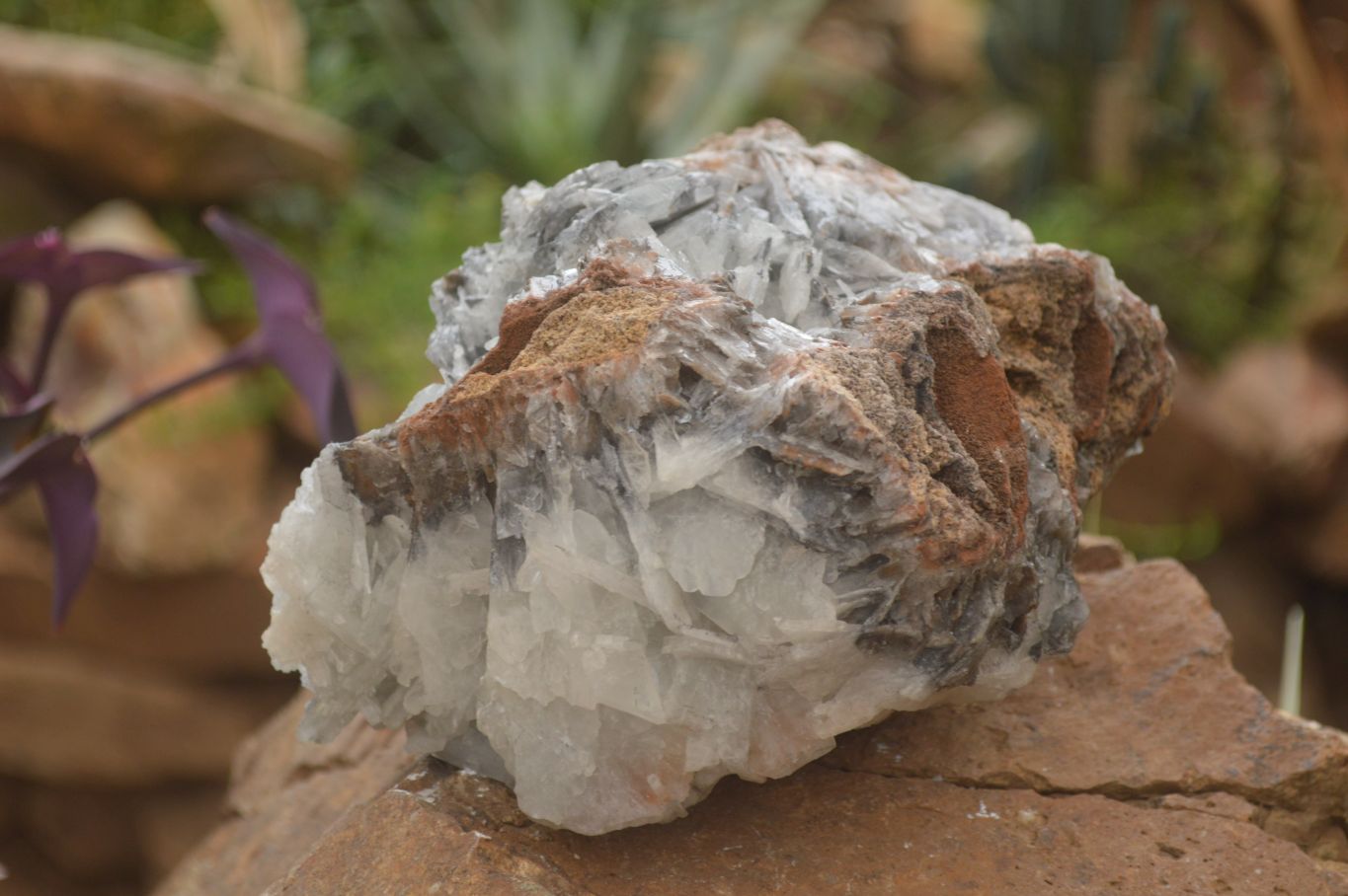 Natural Extra Large Bladed Barite Specimen  x 1 From Congo - Toprock Gemstones and Minerals 