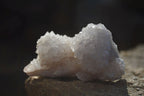 Natural White Cactus Flower Spirit Quartz Specimens x 12 From Boekenhouthoek, South Africa - Toprock Gemstones and Minerals 