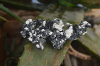 Natural Schorl Black Tourmaline Specimens x 6 From Erongo, Namibia - Toprock Gemstones and Minerals 
