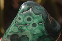 Polished Malachite Free Form x 1 From Kolwezi, Congo - Toprock Gemstones and Minerals 
