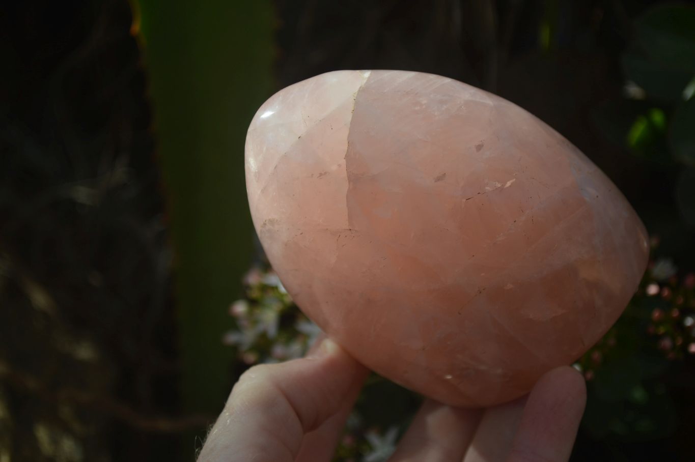 Polished Rose Quartz Standing Free Forms x 2 From Antsirabe, Madagascar - Toprock Gemstones and Minerals 