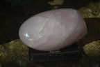 Polished Rose Quartz Standing Free Forms x 2 From Antsirabe, Madagascar - Toprock Gemstones and Minerals 