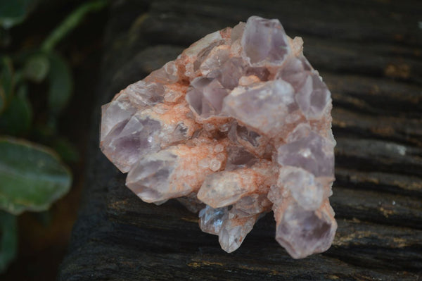Natural Sugar Amethyst Clusters  x 6 From Zambia