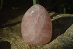 Polished Rose Quartz Standing Free Forms x 2 From Antsirabe, Madagascar - Toprock Gemstones and Minerals 
