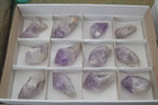 Natural Jacaranda Amethyst Clusters  x 12 From Zambia - Toprock Gemstones and Minerals 