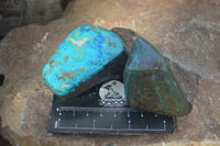 Polished Blue Shattuckite Free Forms  x 6 From Kaokoveld, Namibia - Toprock Gemstones and Minerals 