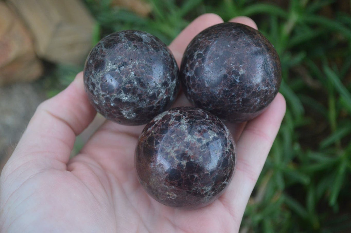 Polished Pyrope Red Garnet Matrix Spheres  x 6 From Madagascar - Toprock Gemstones and Minerals 