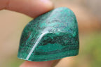 Polished Malachite Hand Finished Gallet Free Forms - sold per kg - From Congo - TopRock
