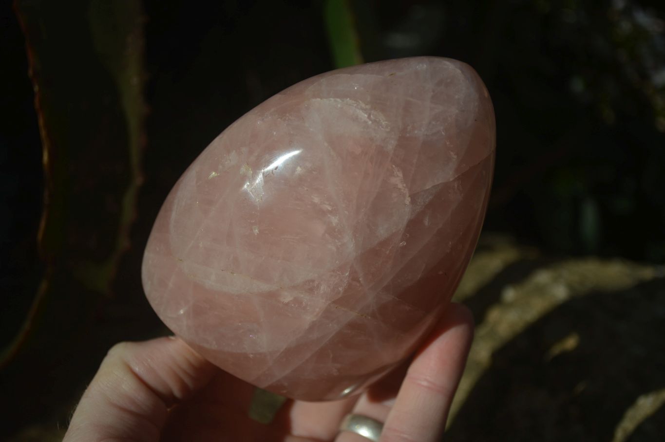 Polished Rose Quartz Standing Free Forms x 2 From Antsirabe, Madagascar - Toprock Gemstones and Minerals 