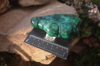 Polished Malachite Free Form x 1 From Kolwezi, Congo - Toprock Gemstones and Minerals 