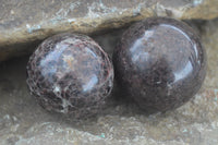 Polished Pyrope Red Garnet Matrix Spheres  x 6 From Madagascar - Toprock Gemstones and Minerals 