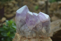 Natural Jacaranda Amethyst Cluster x 1 From Mumbwa, Zambia - TopRock
