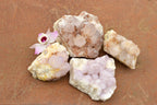 Natural Drusi Coated Spirit Cactus Quartz Clusters  x 4 From Boekenhouthoek, South Africa - TopRock
