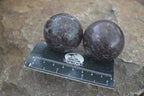 Polished Pyrope Red Garnet Matrix Spheres  x 6 From Madagascar - Toprock Gemstones and Minerals 