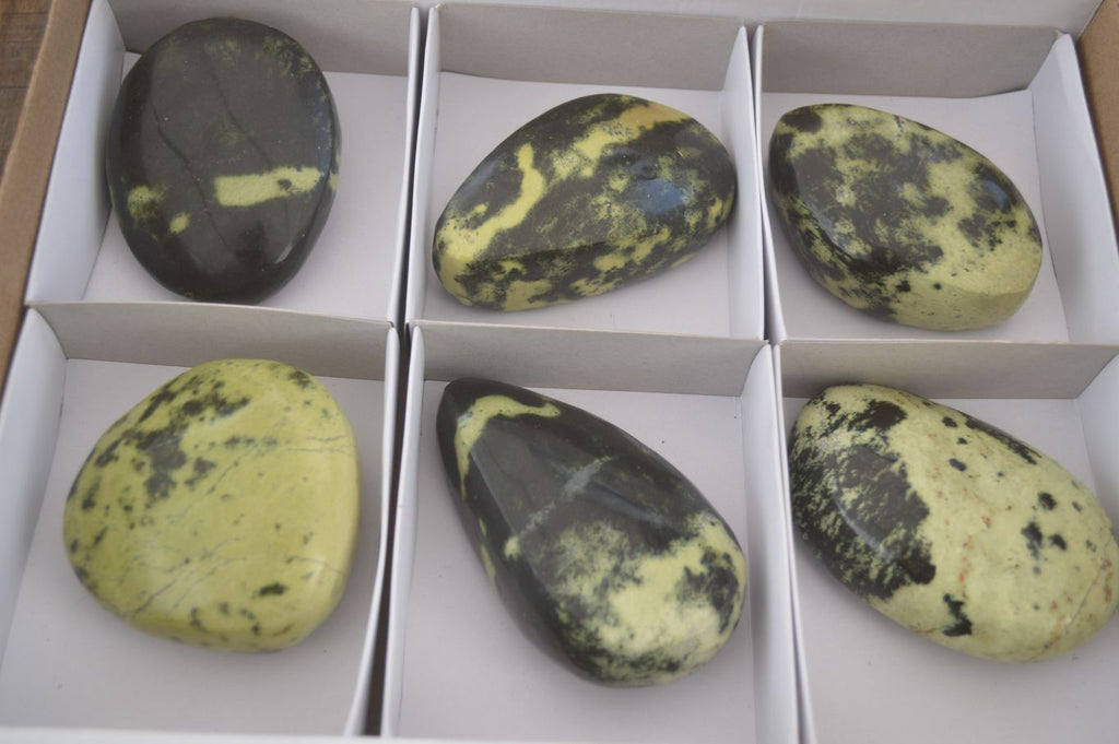 Polished Leopard Stone Free Forms  x 6 From Zimbabwe - Toprock Gemstones and Minerals 