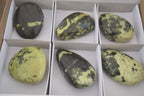 Polished Leopard Stone Free Forms  x 6 From Zimbabwe - Toprock Gemstones and Minerals 