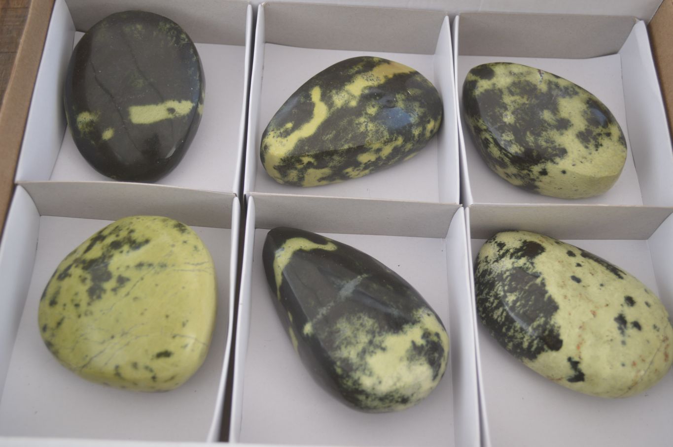 Polished Leopard Stone Free Forms  x 6 From Zimbabwe - Toprock Gemstones and Minerals 